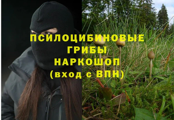 таблы Белокуриха